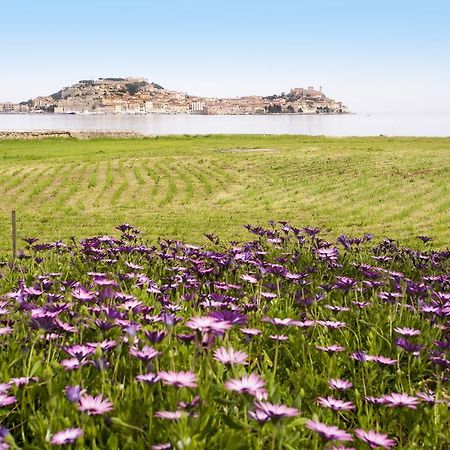 Appartamento Podere San Marco Portoferraio Buitenkant foto